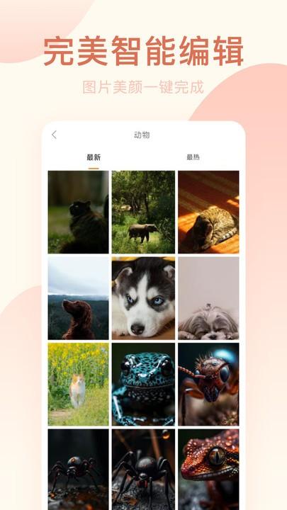 美颜相机专业版app下载,美颜相机专业版,相机app